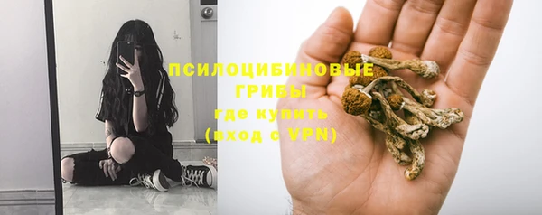 дживик Мегион