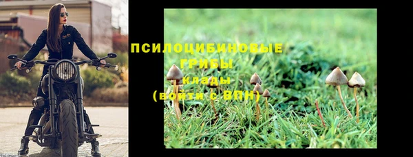 spice Абаза