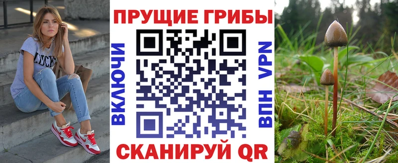 Псилоцибиновые грибы прущие грибы  ОМГ ОМГ как зайти  Туран  наркошоп 