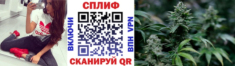 Бошки Шишки THC 21%  Туран 
